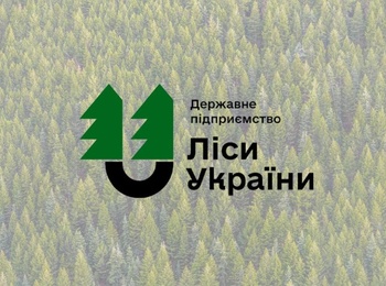 Кар’єра в лісовій галузі: ДП «Ліси України» відкриває вакансії для випускників та здобувачів вищої освіти