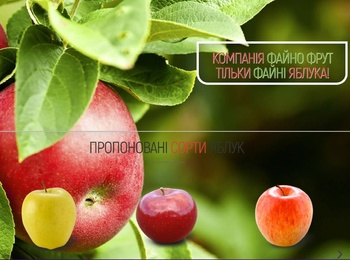 ВАКАНСІЯ: АГРОНОМ (ПЛОДОВОД, КІСТОЧКОВІ) У КОМПАНІЇ «ФАЙНО ФРУТ»